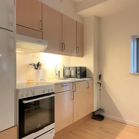 Two Bedroom In Odense, Rapsmarken 1 Lägenhet *
